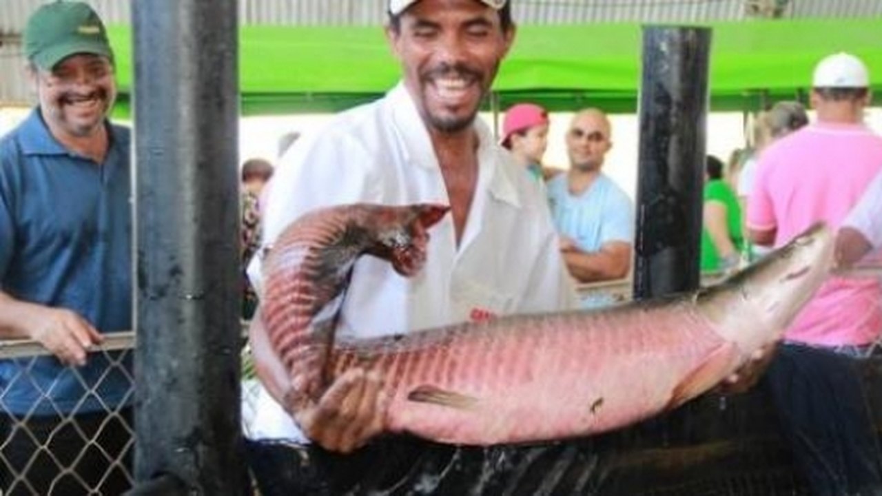 Terceira edição da Feira do Peixe Vivo de Maceió é adiada