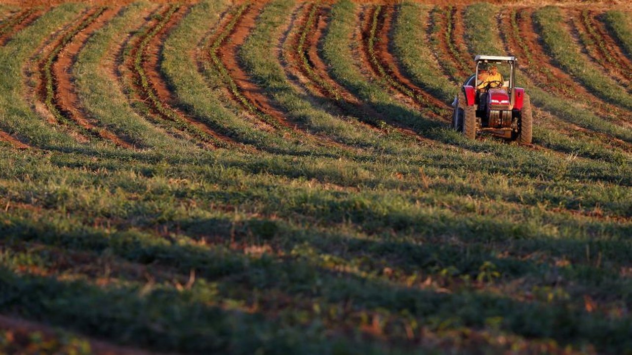 Países árabes têm interesse em ampliar exportação de fertizantes para Brasil