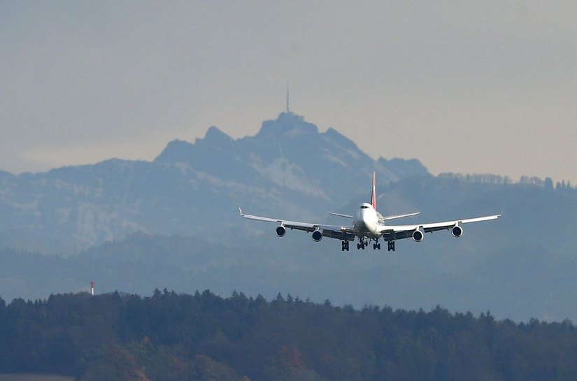Governo anuncia novas regras para transporte aéreo de pets