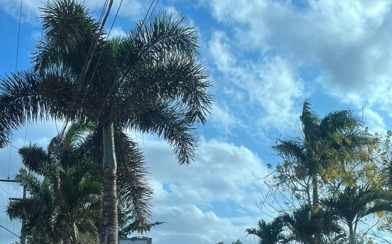 ASA promove torneio para sócios-torcedores no CT Noel Alves