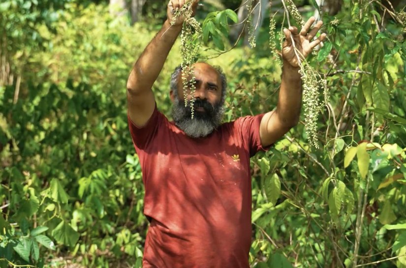 Secretário de Agricultura destaca geração de renda em produção agroecológica localizada em Maceió