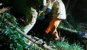 Capotamento deixa motorista morto e passageiro ferido no Sul Sergipano