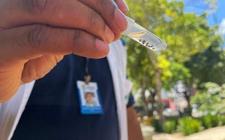 Vigilância de Zoonoses vistoria praça com focos de carrapatos na Gruta e define medidas de controle contra infestação