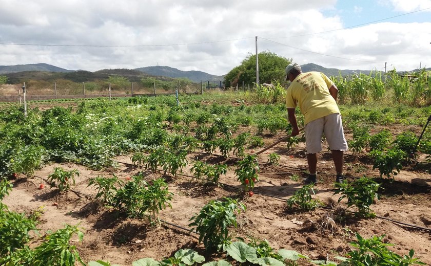 Secretaria de Agricultura informa sobre prorrogação do prazo para inscrição no Garantia-Safra 2024/2025