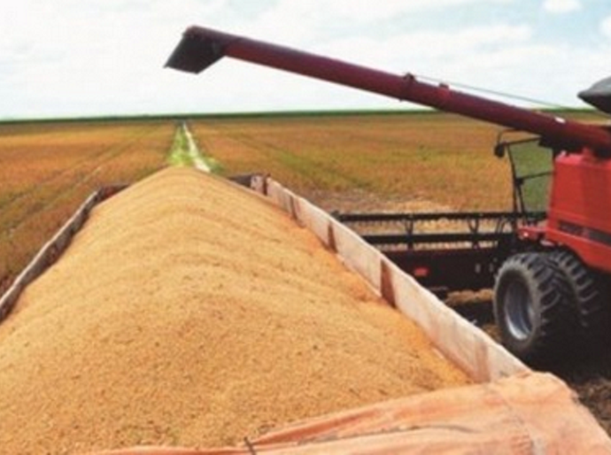 Governo promove Dia de Campo sobre soja em Campo Alegre, hoje (4)