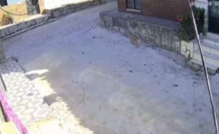 Motorista já foi identificado e será intimado a prestar depoimento