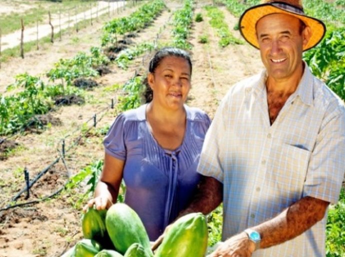 Programa de Aquisição de Alimentos é lançado em municípios de AL