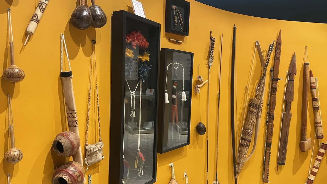 Uneal amplia acesso à cultura popular com catálogo eletrônico de museus
