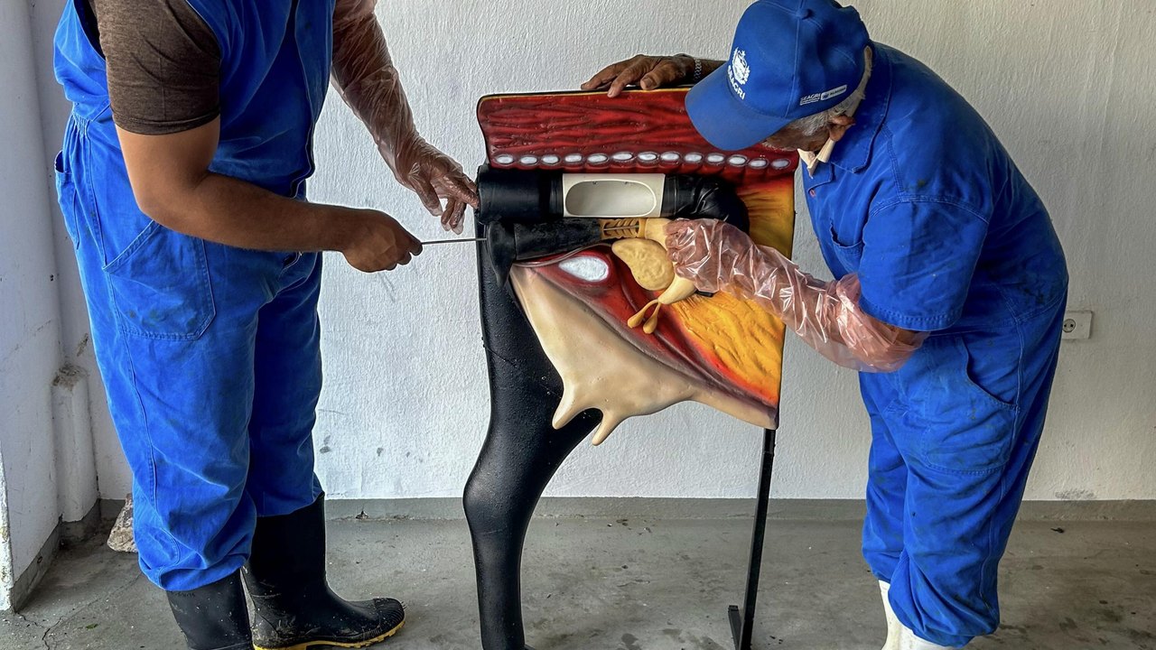  Agricultura entrega novo manequim para Curso de Inseminação Artificial 
