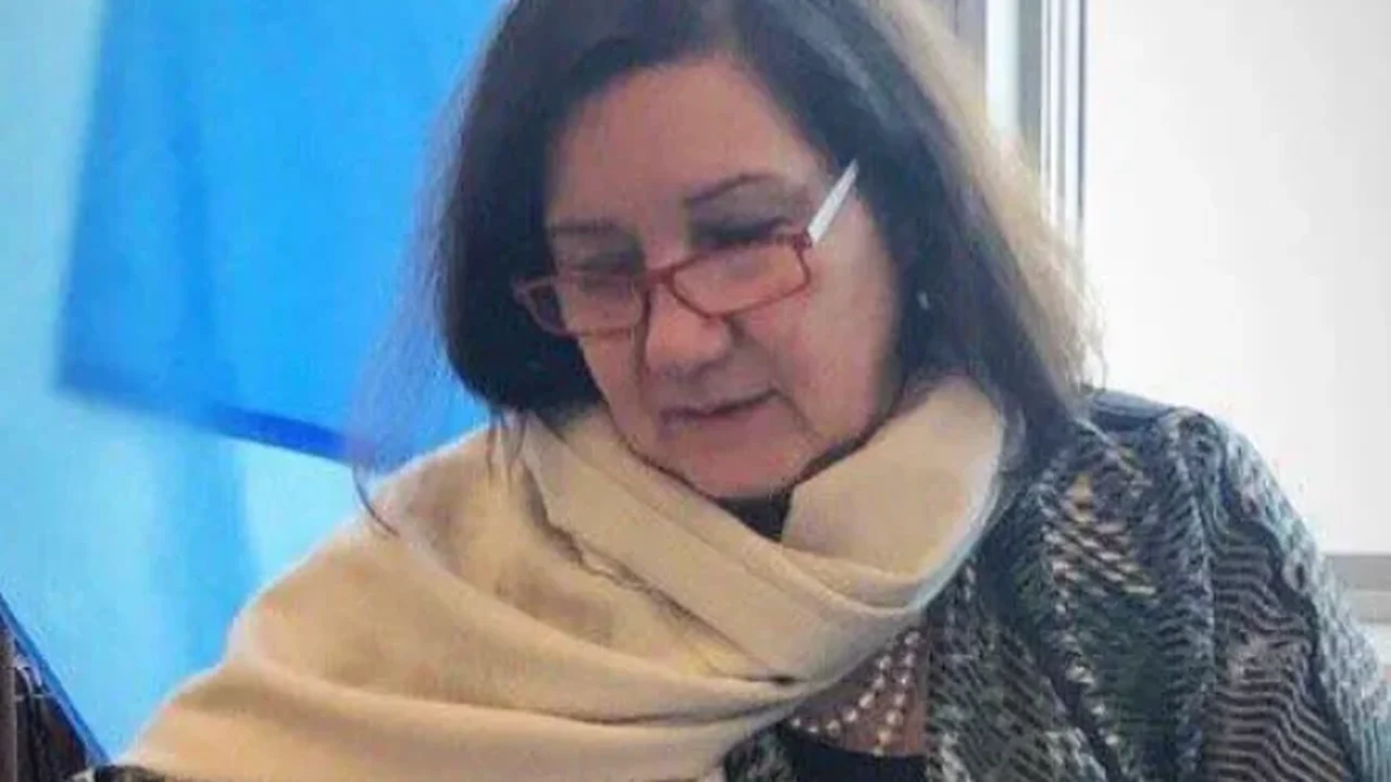 Quem é Maria Luiza Viotti, a embaixadora do Brasil nos EUA que teve o visto cancelado