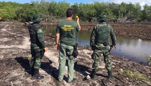 Fiscalização Pelotão Ambiental e Ibama / Foto: Pelotão Ambiental