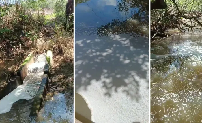 Polícia Civil e IMA constataram que o Salinas Maceió era o responsável