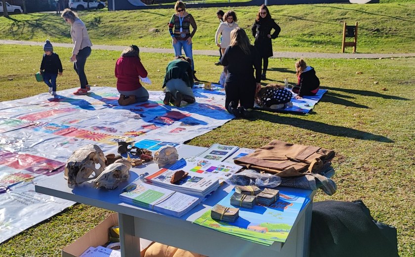Gramado verde em destaque na celebração do dia mundial ﻿da Educação Ambiental