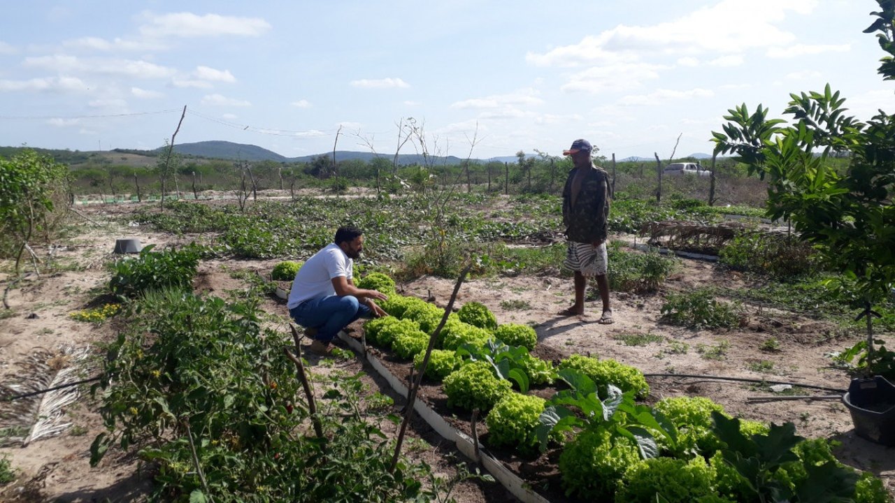 Dia do Trabalhador Rural: Emater assiste quase 35 mil agricultores indiretamente