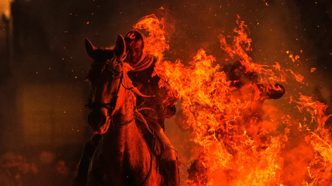 Cavalos saltam através das chamas e animais de estimação vão à igreja em rituais espanhóis em homenagem a Santo Antônio