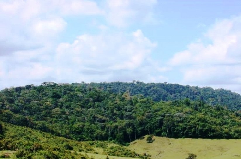Membros de assentamentos recebem projeto do IMA em Joaquim Gomes