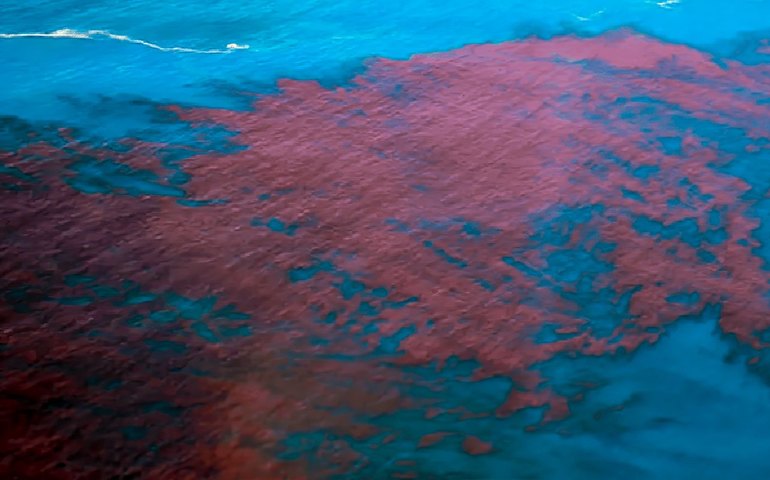 ‘Maré vermelha’ colore águas da Praia da Pipa e assusta banhistas no litoral do RN