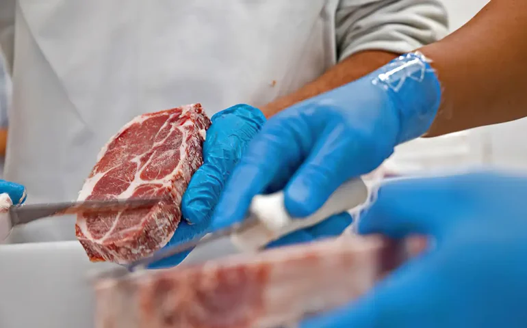 Panamá abre mercado para carne de ave e suíno do Brasil; Angola abre para ovino e caprino