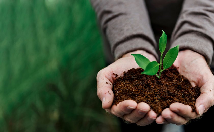 Conheça 6 práticas pedagógicas para engajar os estudantes na proteção ao meio ambiente