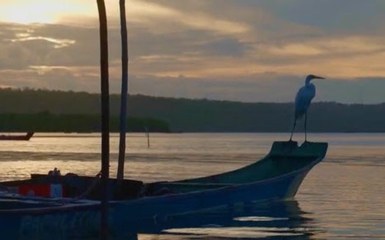 Alagoas ganha destaque em websérie nacional do Programa Transformando Territórios sobre filantropia comunitária