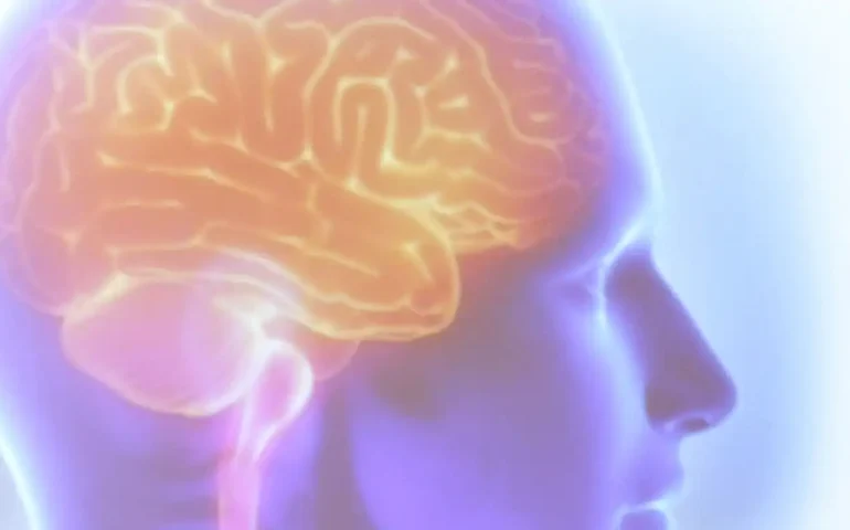 Existe uma ligação entre celulares e maior risco de câncer no cérebro? Estudo da OMS finalmente responde