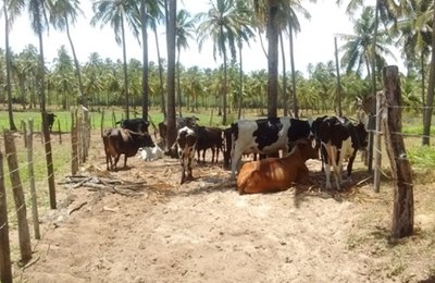 Visita técnica da Desenvolve estimula nova tomada de crédito em Piaçabuçu