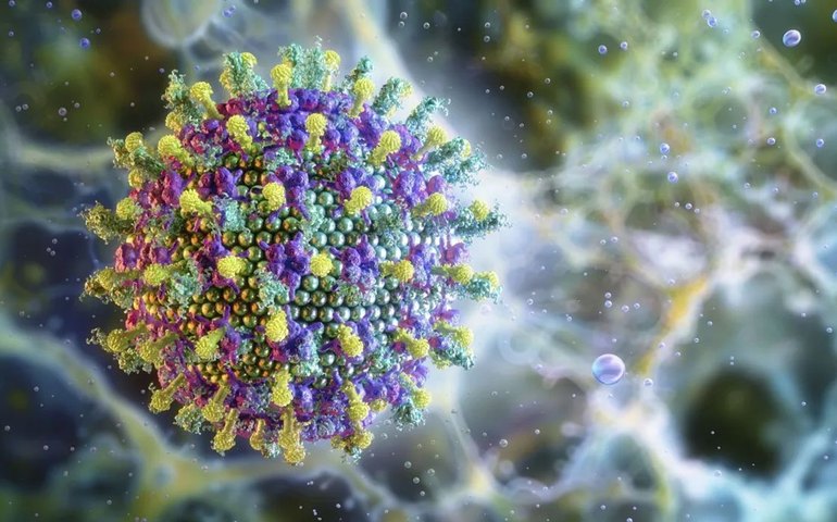 Ministério da Saúde descarta risco do vírus Nipah para o Brasil