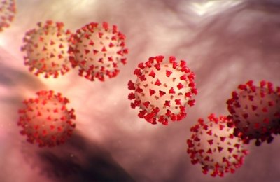 Boletim Epidemiológico: Palmeira tem mais um caso suspeito para a Covid-19