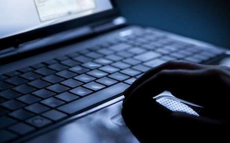 Crise empurrou pequeno para a internet, diz especialista