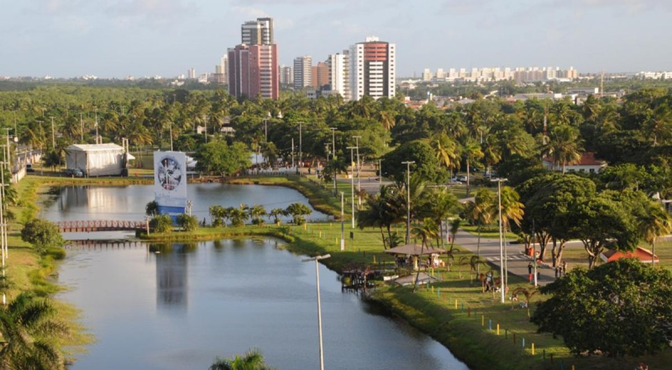 Dez gatos são encontrados mortos no Parque Augusto Franco em Aracaju