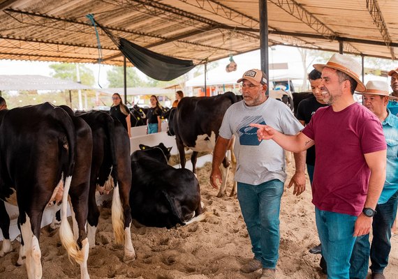 Expo Bacia Leiteira fomenta e valoriza produção do setor agropecuário alagoano