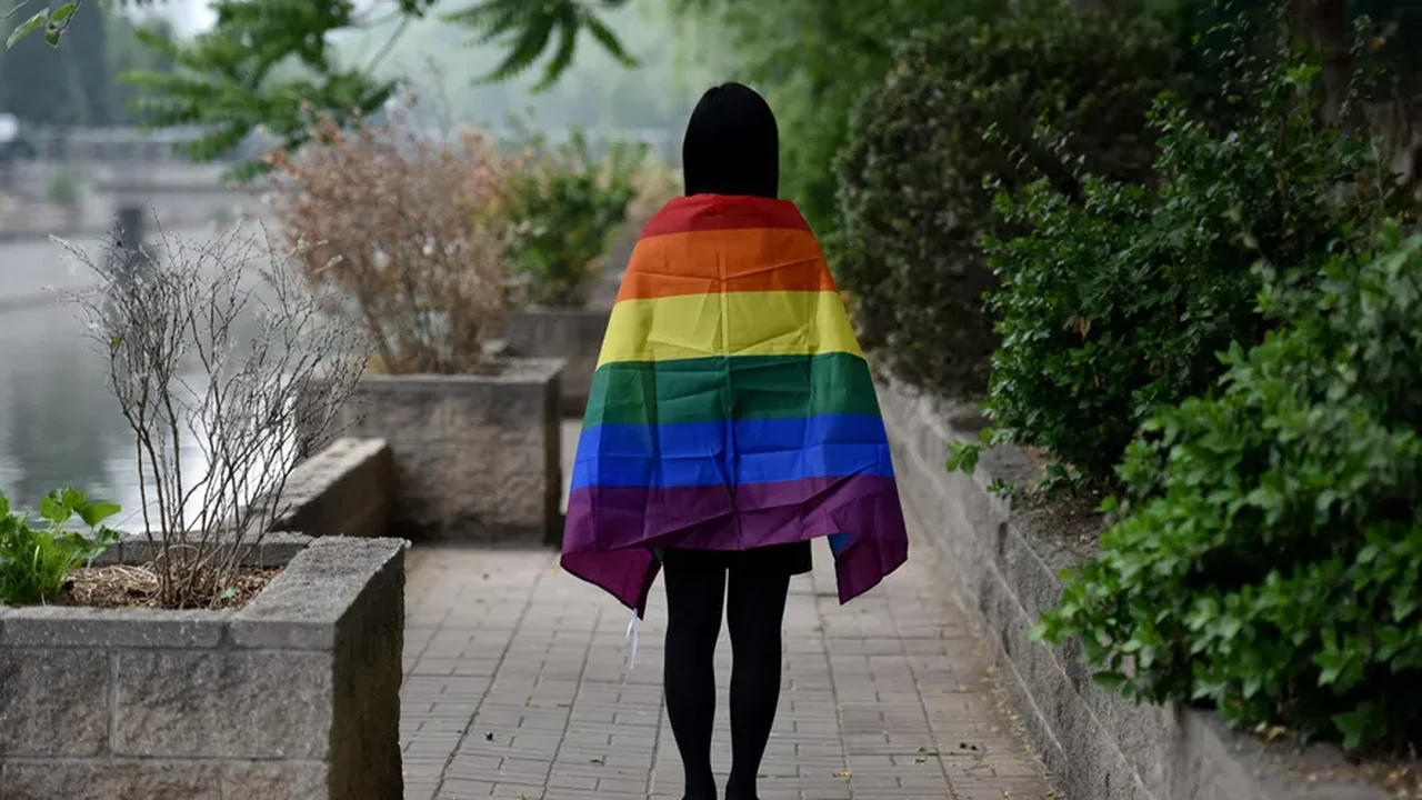 Relatório sobre união homoafetiva será concluído em outubro