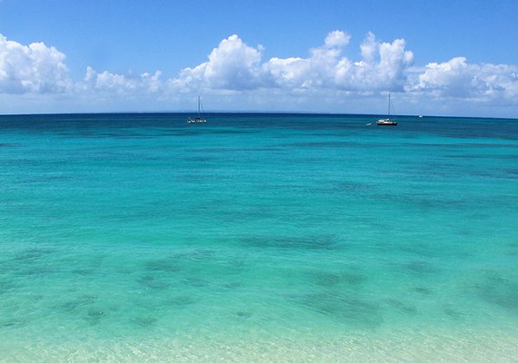 Cratera misteriosa: mergulhadores chegam pela primeira vez no fundo do 'Grande Buraco Azul' no mar do Caribe