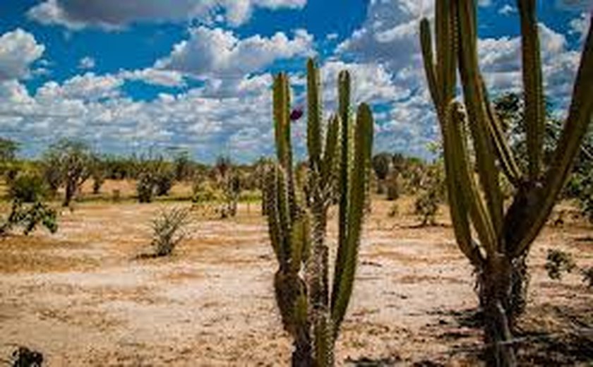 Inmet emite alerta de baixa umidade do ar para 16 municípios do Sertão alagoano