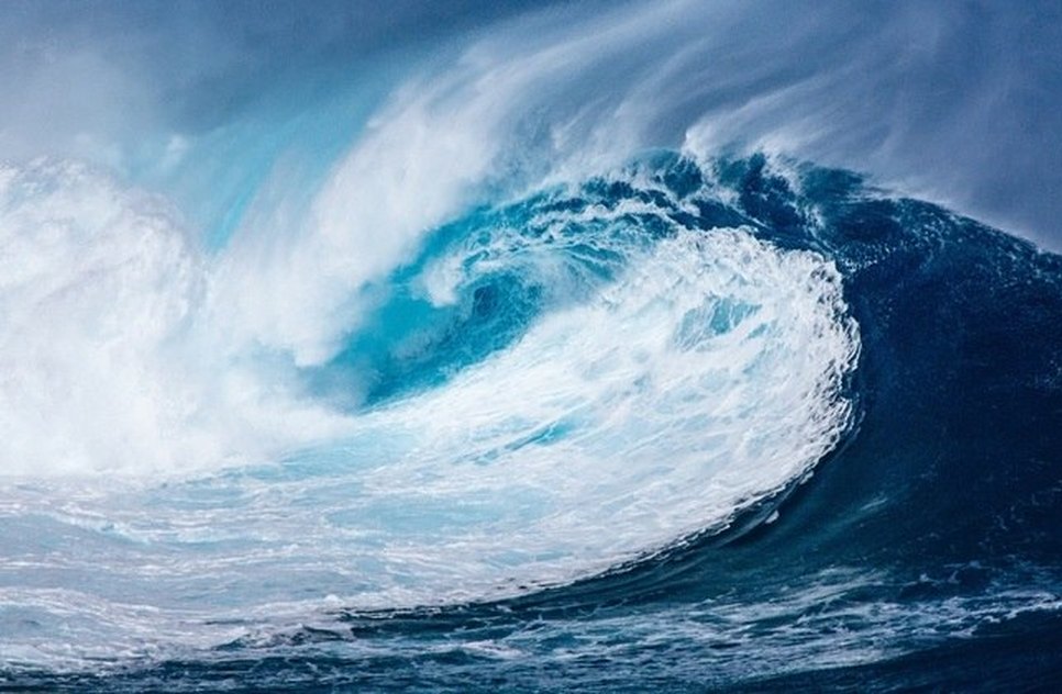 tsunami-14122023151519641