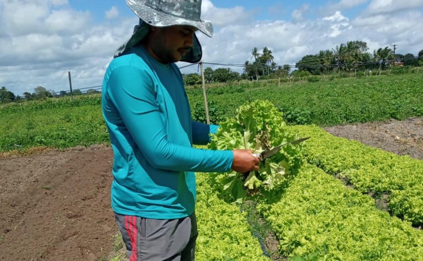 Estudo apoiado pelo Governo de Alagoas visa reduzir a dependência de importações agrícolas