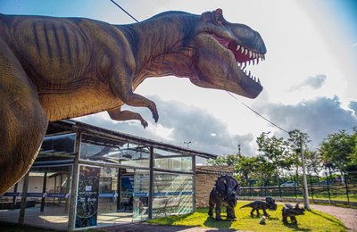 Com obras em fase de conclusão, Museu de Biologia levará mais conhecimento aos alunos arapiraquenses