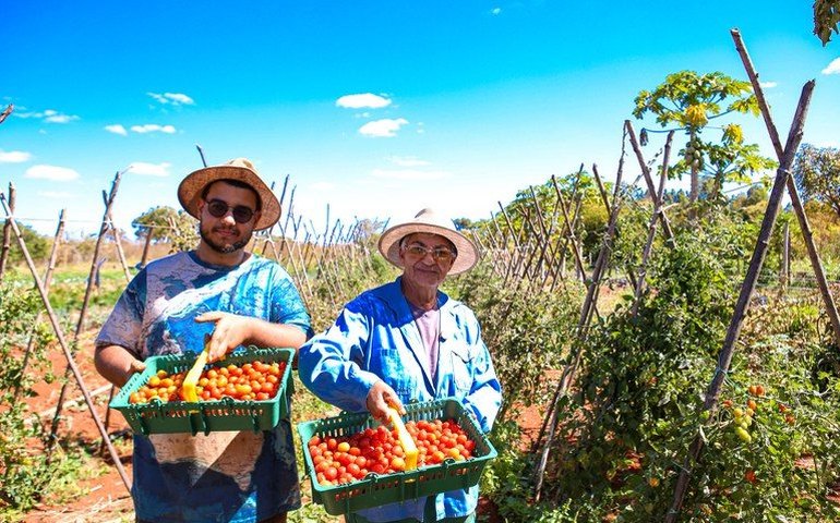 Pronaf e Plano Safra para agricultura familiar são transformados em lei