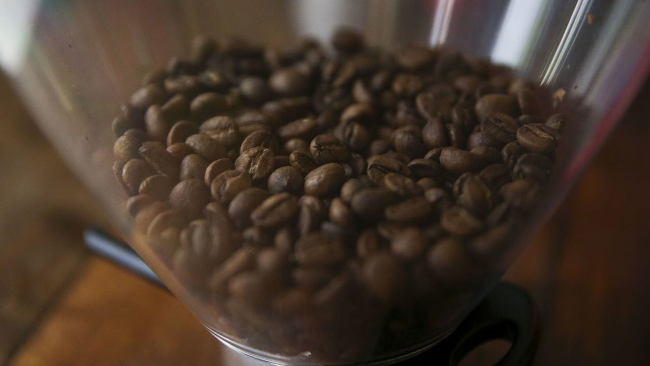 Tarifa de 50% dos EUA sobre café brasileiro pressiona mercado e ameaça importadores, diz mídia