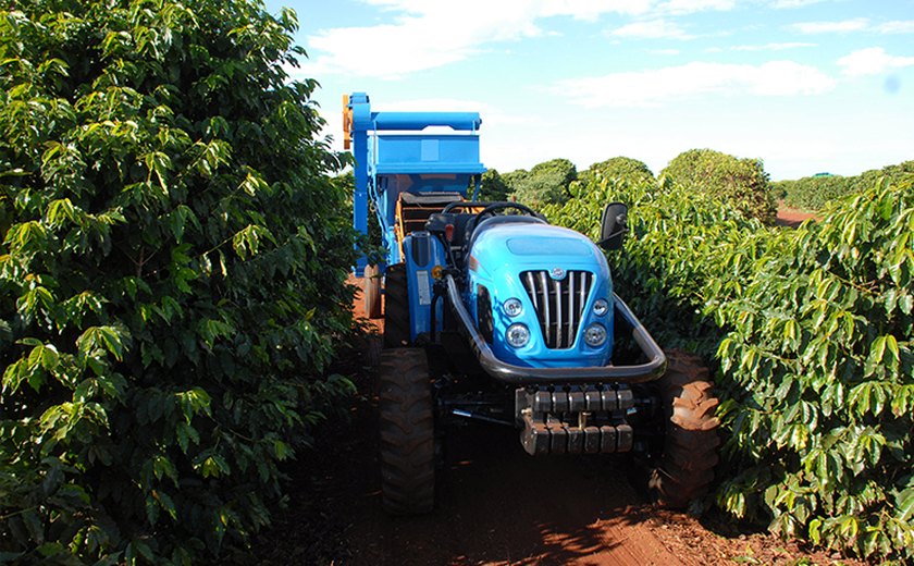 Cafeicultura mecanizada tem produtividade 26% superior à manual