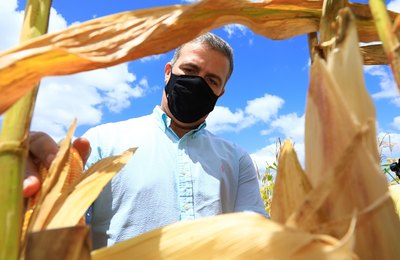 Planta Alagoas rompe fronteiras e auxilia na produção familiar de norte a sul do estado