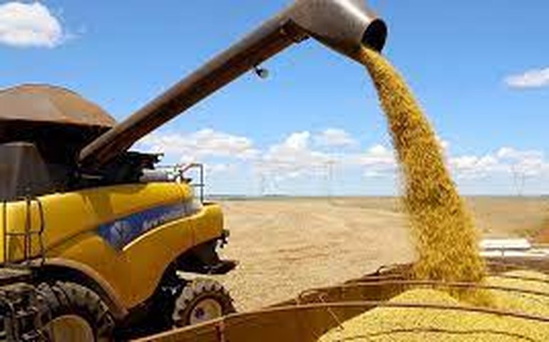 Se confirmada, safra 2025 marcará novo volume recorde, afirma IBGE