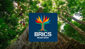brics / Foto: Secretaria de Comunicação Social/Divulgação