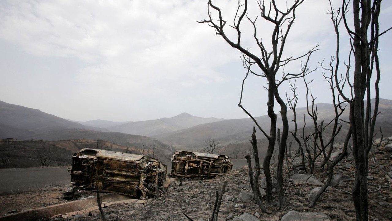 Incêndios florestais provocam mortes e destruição no Mediterrâneo