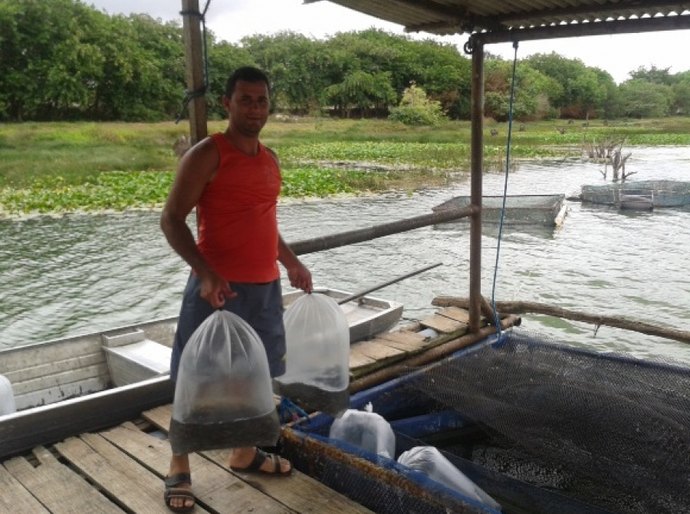 Seagri supera a marca de 1 milhão de alevinos distribuídos em 2017