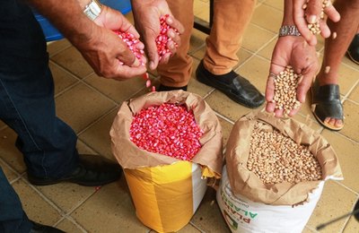 Agricultores de Penedo recebem sementes na sede da Semada
