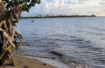 Jornalista destaca encantos de Porto de Pedras