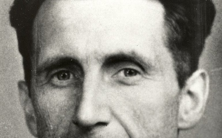 Venda de cartas de George Orwell a colecionadores privados alarma especialistas: 'vandalismo cultural'
