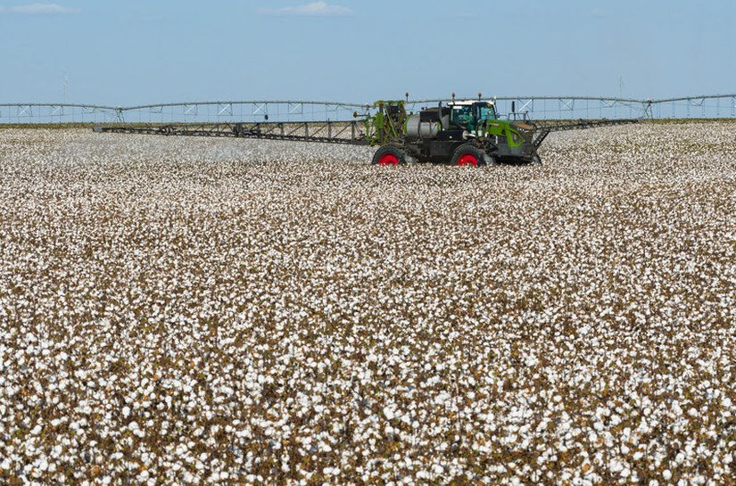 Dia Mundial do Algodão: Fendt contribui para expansão do setor algodoeiro com tecnologia de ponta no campo