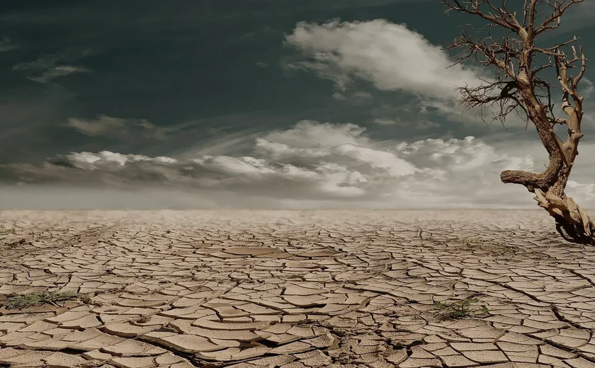 'Mudanças climáticas ocorrem em ritmo jamais visto', afirma indicada pelo Brasil para painel do clima da ONU